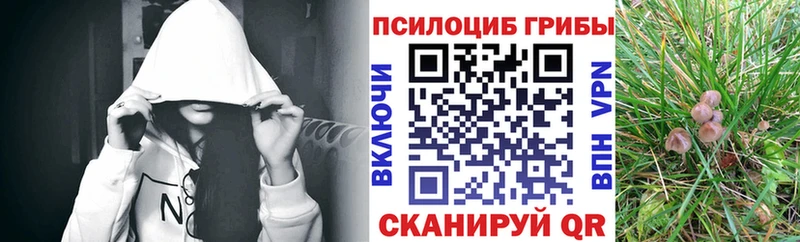 гидра Ува Псилоцибиновые грибы ЛСД